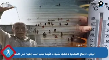 اليوم.. ارتفاع الرطوبة وظهور شبورة كثيفة تجبر السائقين على الحذر